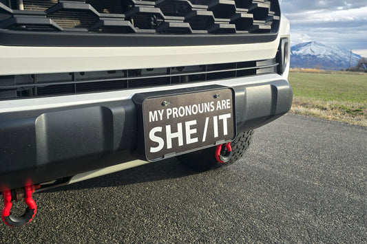 "She/It"
