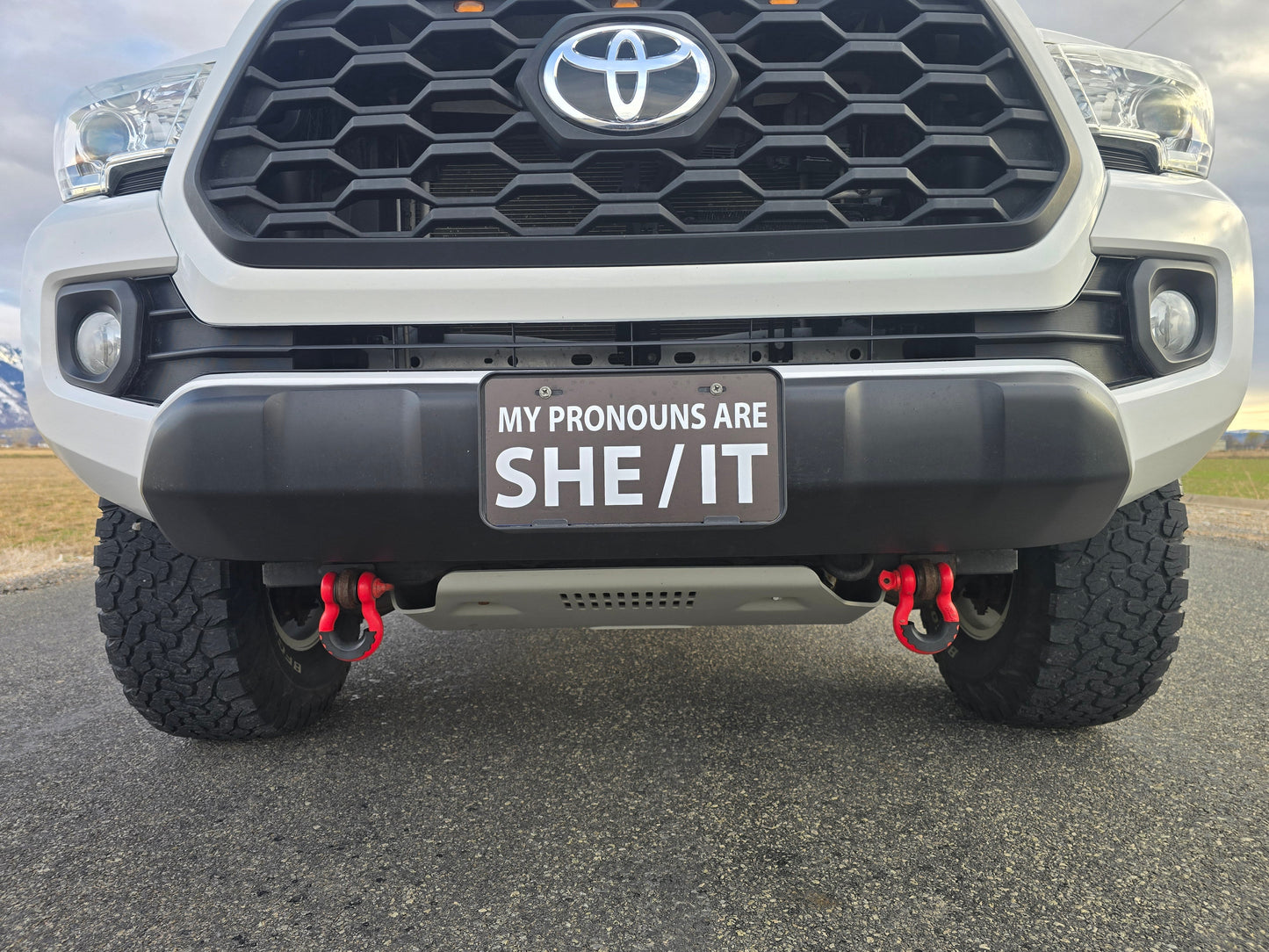 "She/It"