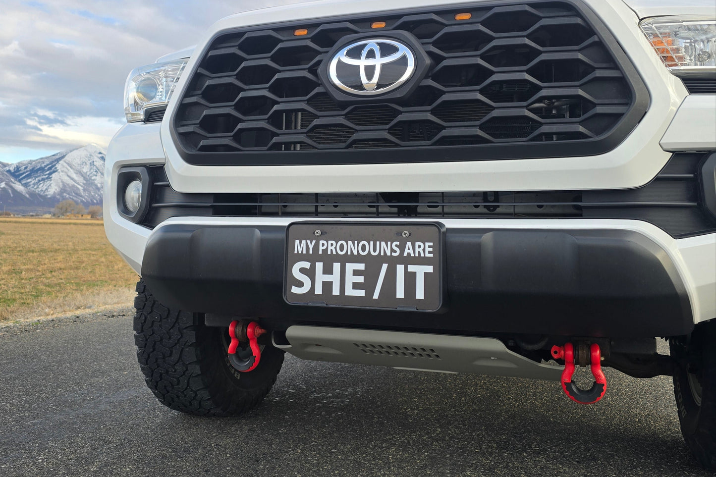 "She/It"