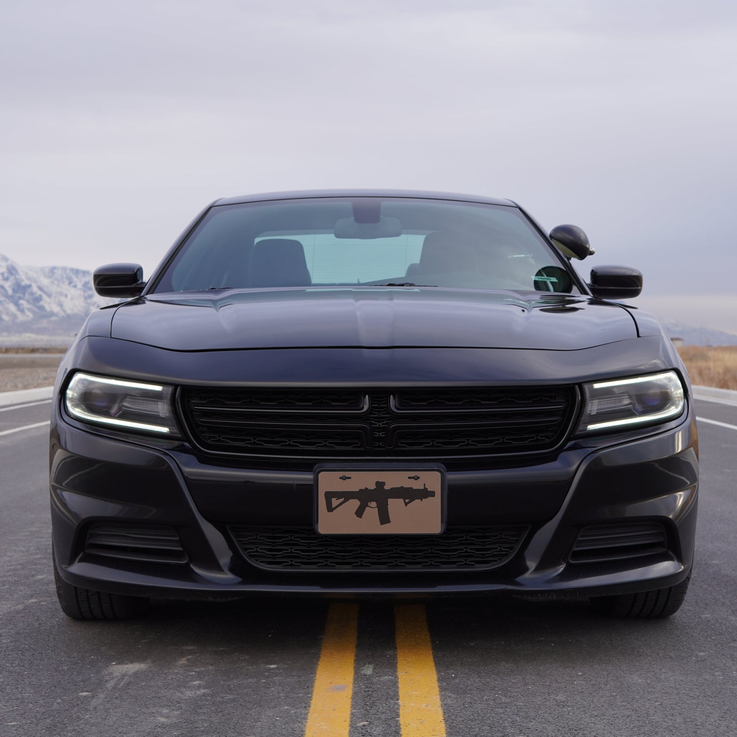 Gun License Plate