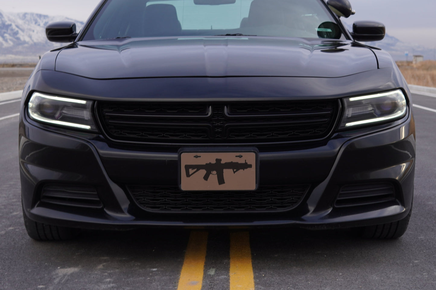 Gun License Plate