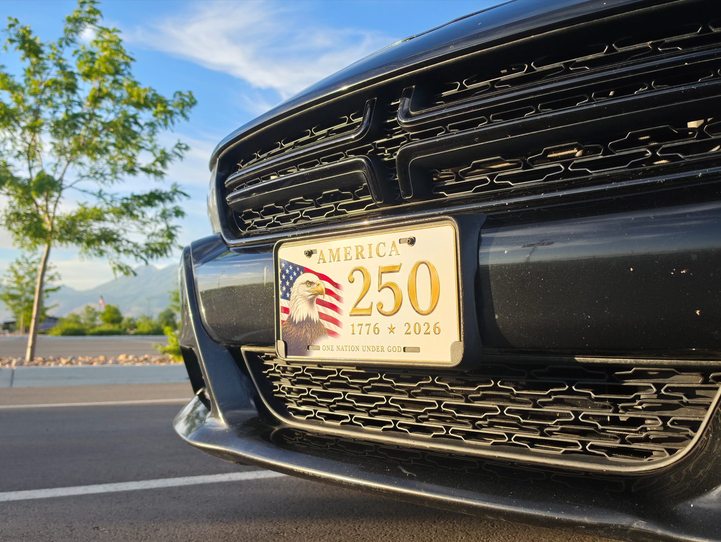 America 250 License Plate 1776-2026