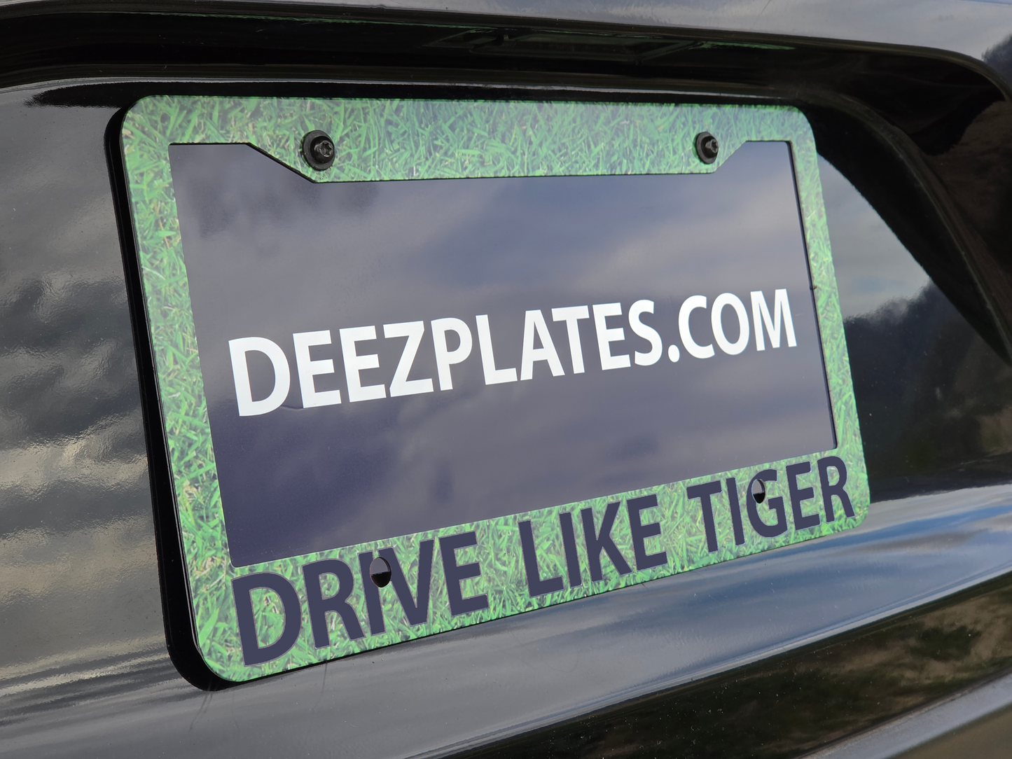 Drive Like Tiger Frame
